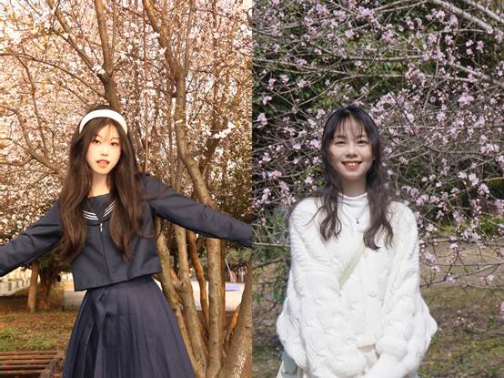 图示, 示意图

中度可信度描述已自动生成:ver1