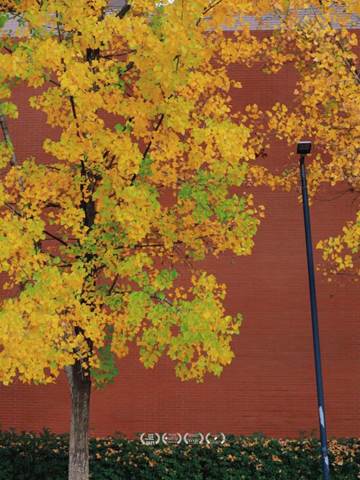 QQ图片20221119093924